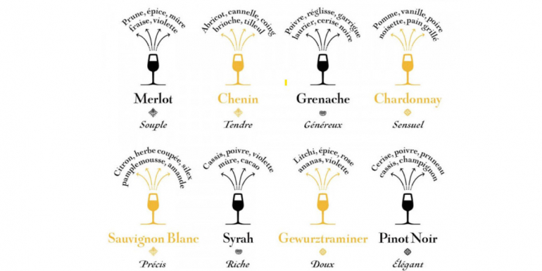 Les principaux cépages français et leurs notes dégustatives : Pinot Noir, Chardonnay, Sauvignon Blanc, Syrah, Grenache, Cabernet Sauvignon, Merlot…